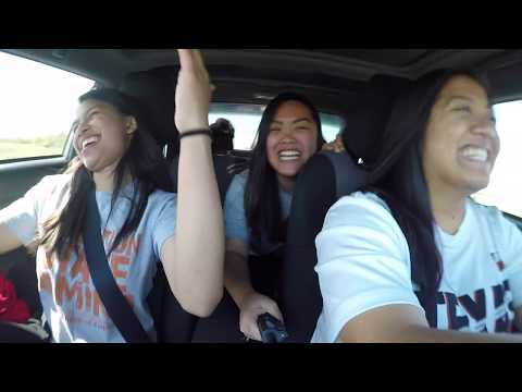 Holesome Fun In Nola