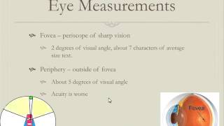 PSY 523 Word Recognition Part 1