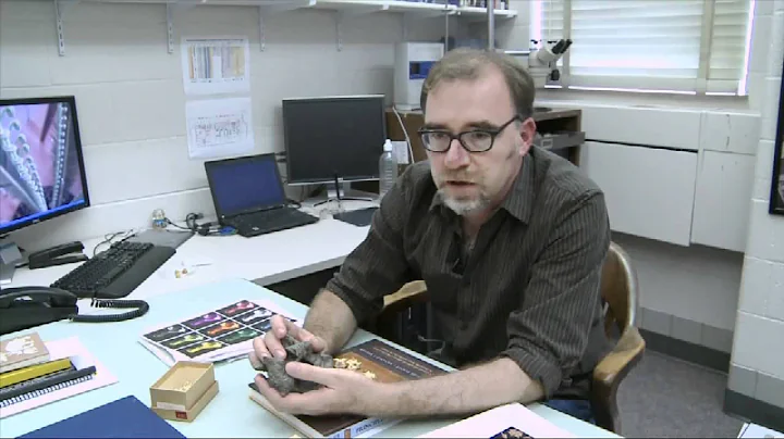 Vertebrate Cast of Earth's Largest Snake on Display