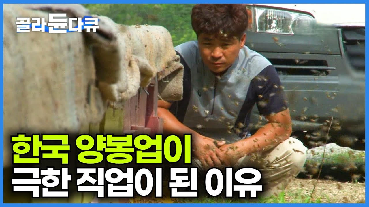 오늘도 집 들어가긴 글렀다. 집단 폐사 시작된 한국 꿀벌 살리려고 한숨도 못자는 양봉업자 현실│극한직업│#골라듄다큐