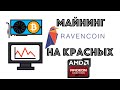 Майнинг RVN (KawPoW) на AMD. Потребление и доходность. Майнят ли RX550 2gb?