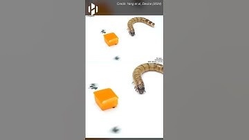 Tiny robots inspired by ants developed by Korean scientists. #shorts