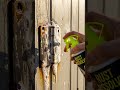 Watch This Rust Melt Away 😲✨#cleantech  #shine  #aiedit  #satisfying