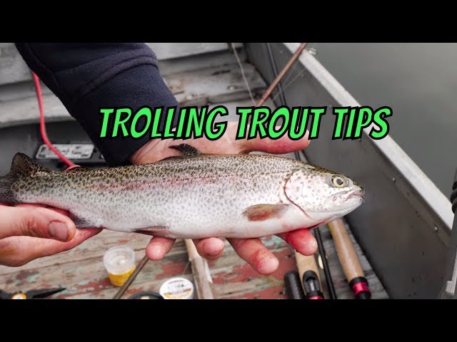 Trout Trolling Tips  How To Trolling For Trout In Lakes & Ponds. 