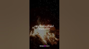 صوت يريح القلب 💕✨#القارئ_محمد_احمد_حسن #طالب_الازهر #قرآن