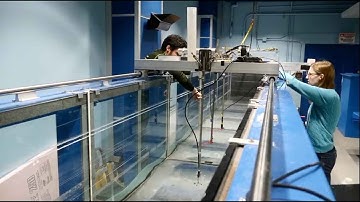 Coastal Engineering: Wave Behavior Explained