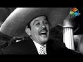 KAMCIA LA YEGUA QUE ACOMPAÑÓ A PEDRO INFANTE EN SUS PELÍCULAS