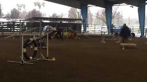 Christy STD MACH 2  1/6/19