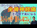 【坐骨神経痛　おしりの痛み】おしりの奥が痛い坐骨神経痛を解消させるストレッチ・筋トレ【神戸市　坐骨神経痛】【腰痛専門整体院　アシストユー整体院】