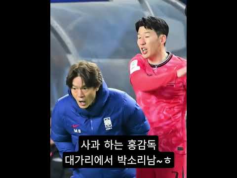#손흥민 #홍명보감독 #웃긴영상 #ai영상 #사과 thumbnail