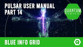 14 - PULSAR blue info grid