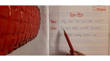 CLASS 1 || EVS || CHAPTER: 20 || QUESTION/ANSWERS