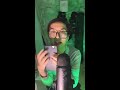 Ultimate ASMR Sticker Collection 🫧 Soft Peeling, Tapping &amp; Satisfying Sounds
