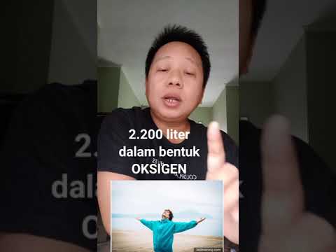 Video: BERAPA HARGA juta udara?