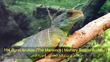 114 : Surat An-Nas (The Mankind) | #Mishary #Rashid #Alafasy | مشاري بن راشد العفاسي | سورة الناس