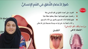 ماهي اسماء أجزاء الفم من الداخل مع تصحيح تلاوة سورة المسد