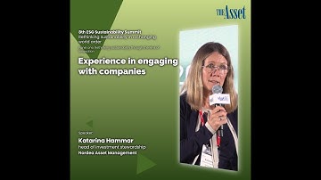 Experience in engaging with companies