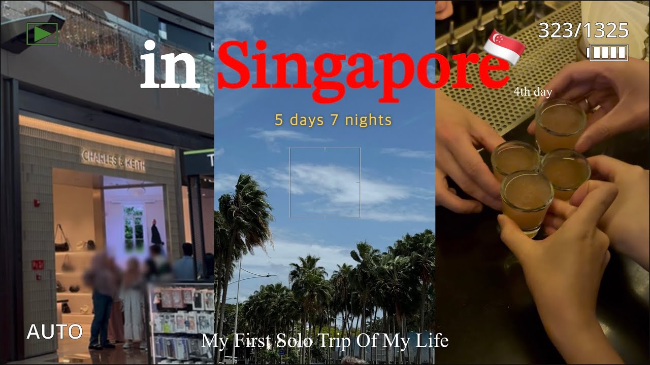 나 홀로 싱가포르 여행 EP.04 ㅣ 싱가포르에서의 마지막 밤 ㅣ(차이나타운, 페어프라이스, 기념품, 마리나베이샌즈쇼핑몰, 에플스토어, 딘타이펑, 찰스앤키스, 지거앤포니)