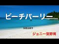 ビーチパーリー ジョニー宜野湾