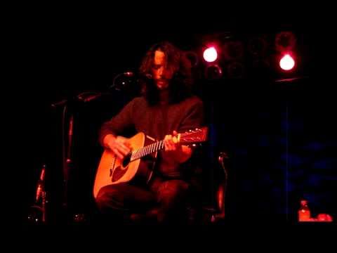 Chris Cornell - Sweet Euphoria