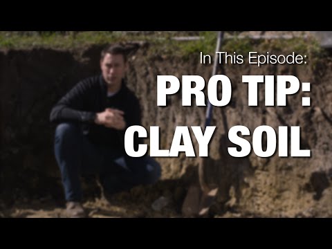 Video: Using expanded clay backfill for the floor