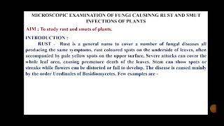 Practical Rust & Smut