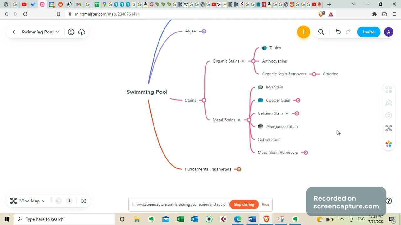 How to Identify and Remove Stains in Swimming Pool