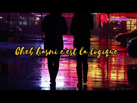 𝐂𝐡𝐞𝐛 𝐇𝐚𝐬𝐧𝐢 𝐂 𝐞𝐬𝐭 𝐋𝐚 𝐋𝐨𝐠𝐢𝐪𝐮𝐞 𝐒𝐥𝐨𝐰 𝐑𝐞𝐯𝐞𝐫𝐛 