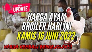 DAFTAR HARGA AYAM POTONG HARI INI RABU 10 AGUSTUS 2022 # UPDATE HARGA AYAM BROILER HARI INI. 