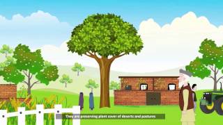 Community Based Disaster Risk Management Approach کاهش خطر حادثه با محوریت جامعه