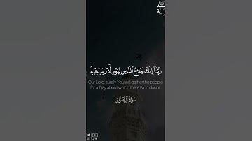 القارئ راشد الحليبة #راشد_الحليبة
