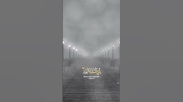 تلاوة ❤️ الشيخ خالد الجليل ❤️ أكتب شئ تؤجر عليه