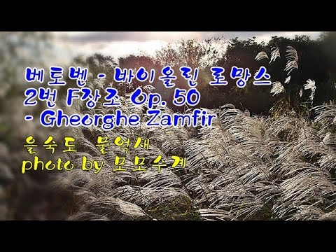 을숙도 물억새 &amp;<strong>amp</strong>; 베토벤 : 바이올린 로망스 2번 F장조 <strong>Op</strong>.  50 Gheorghe Zamfir &amp;<strong>amp</strong>; photo by 모모수계