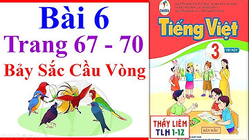 Tiếng Việt Lớp 3 Bài 6 | Bảy Sắc Cầu Vòng | Trang 67 - 70 | Cánh Diều