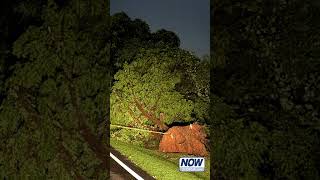 Storm strands local motorist