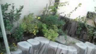 DSCF5062