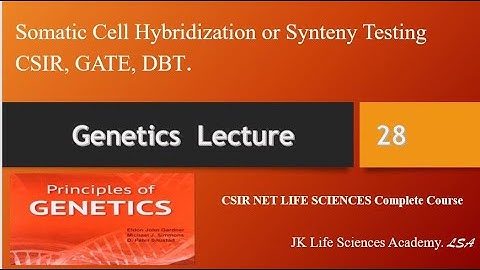 Lecture No 28:Somatic Cell Hybridization or Synteny Testing and previous years’ questionsCSIR, GATE