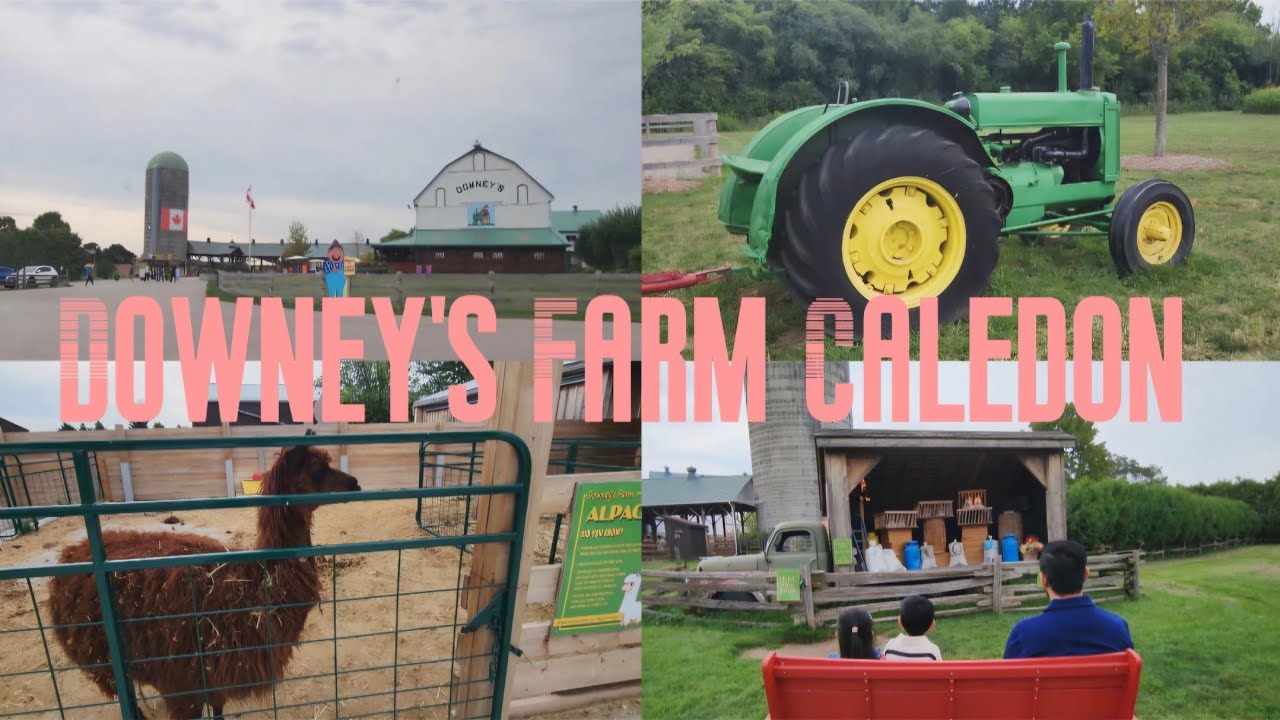Kids fun place [ Downey's Farm 🚜]