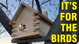 A Birdhouse That Kids Can Build - Free Plans! by DIY Builds 7,069 views 1 year ago 8 minutes, 59 seconds