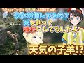 【ホロ7DTD】７Days To Dieわための1日目の面白撮れ高まとめスバルとの会話が面白過ぎる【ホロライブ切り抜き/角巻わため/ホロライブ4期生/大空スバル】