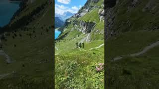 141=Anti deforestation Action Song#voyuitwaaien