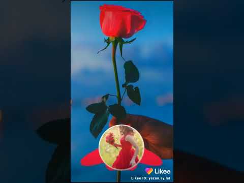 عتابا صرلي سنين عبركض وراكي