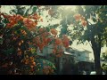 Energizing the day ahead - Shot on Fuji Xh2s
