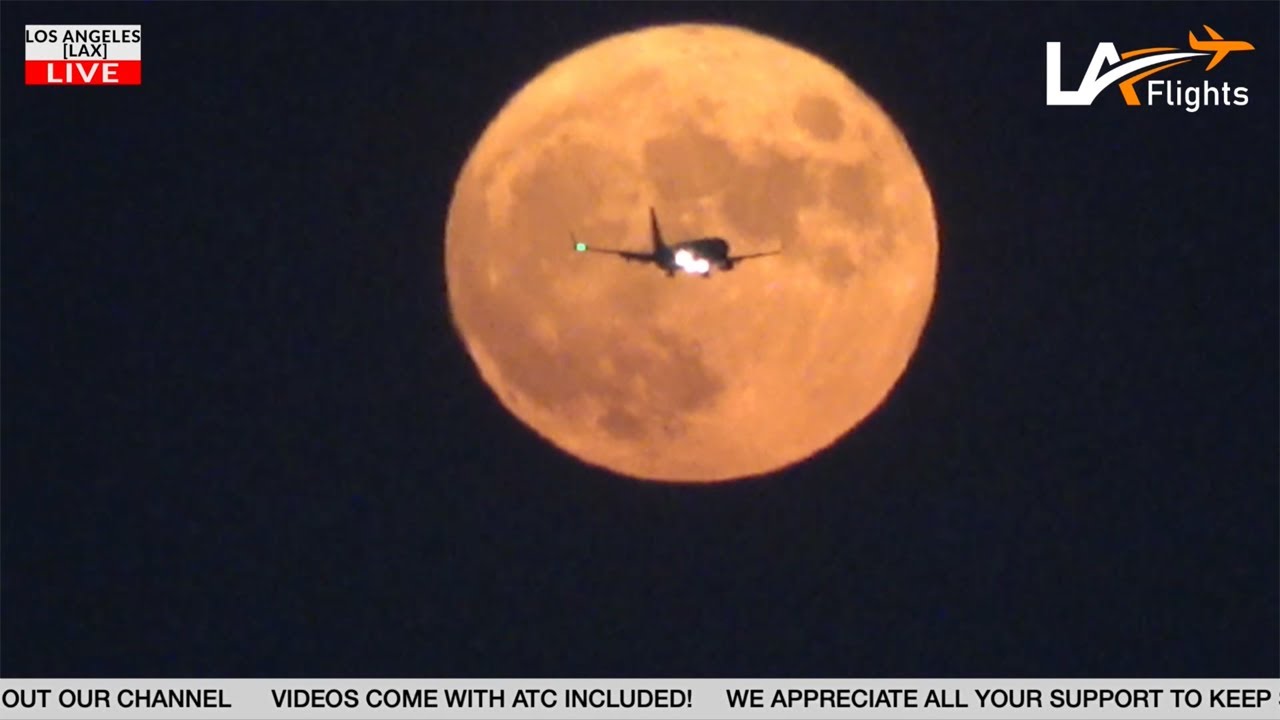 Harvest Moon Rising Over Los Angeles International Airport 🌕 ️ | Night ...
