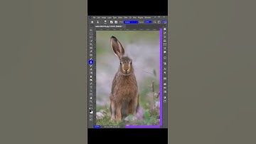Best Use Of Clone Stamp Tool In Photoshop | Photoshop Tutorials #shorts #photoshop #editingtutorial
