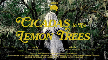 Field Guides - "Cicadas in the Lemon Trees" (Official Video)