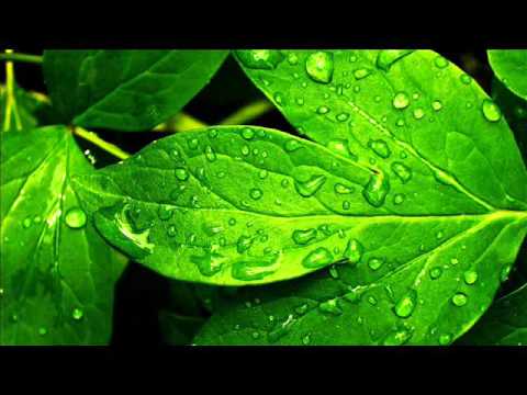 سورة غافر بصوت ابراهيم الجبرين Surat Ghafir