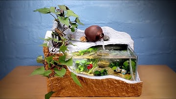 Cách Làm Bể Cá Bằng Thùng Xốp Đẹp Đơn Giản