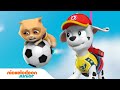 Paw Patrol : La Pat