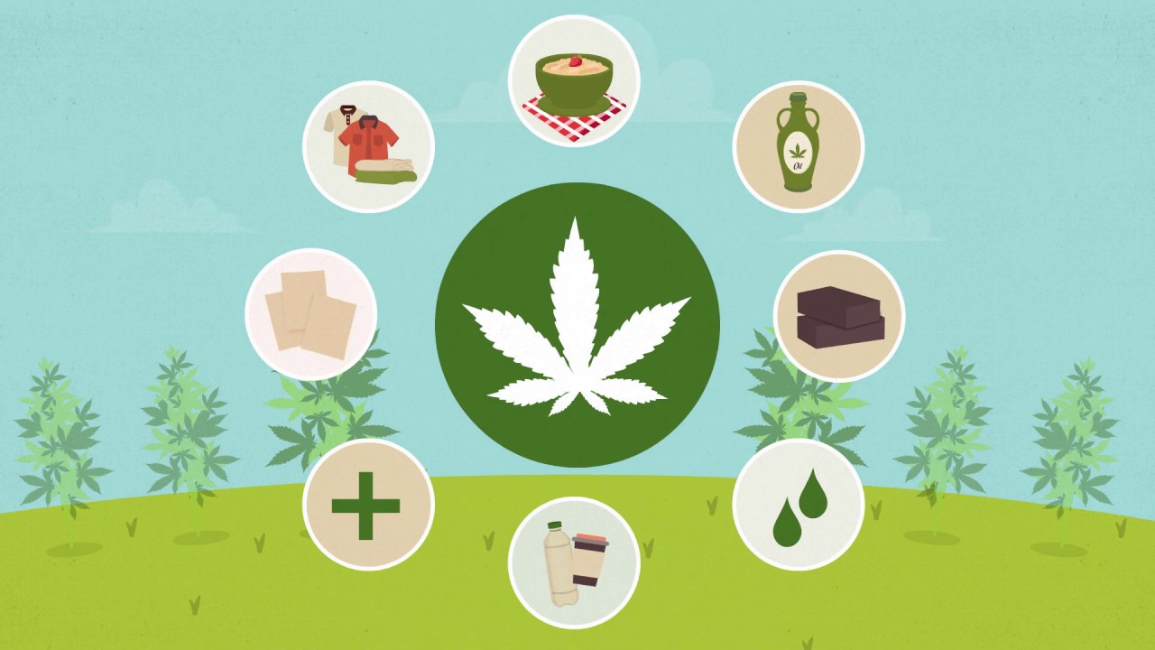 What is Hemp?™ Learn all about this highly versatile plant!